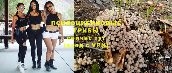 прущие крисы Горно-Алтайск