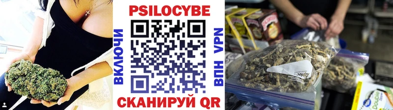 Псилоцибиновые грибы мицелий  Купить закладки  Константиновск 